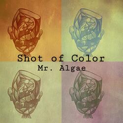 Shot of Color