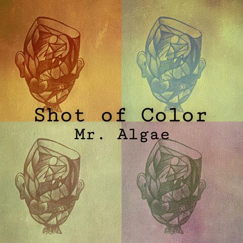 Shot of Color