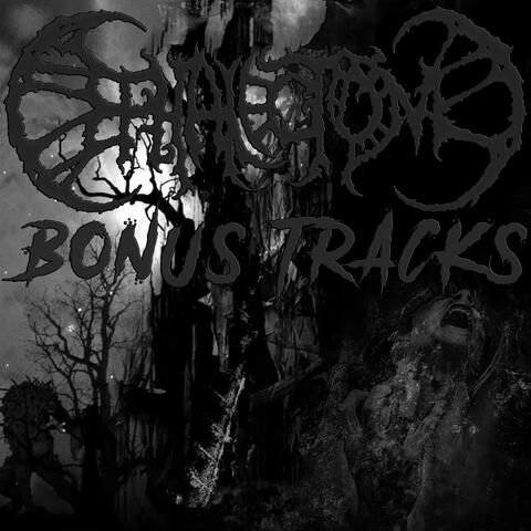 Bonus Tracks