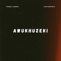 Awukhuzeki (feat. Todd Junea)