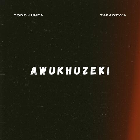 Awukhuzeki (feat. Todd Junea)