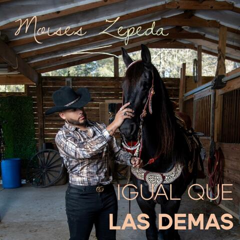 Igual Que Las Demas