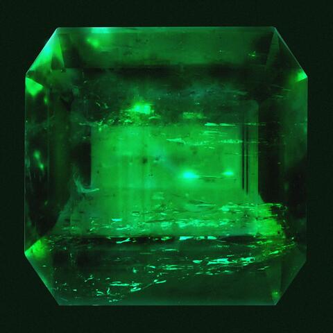 THE GREEN ALBUM
