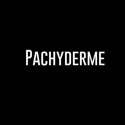 Pachyderme (feat. HAZEBOI & SAMIT BEATZ)