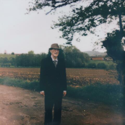 Do You Mind If I'm a Little Late For Life?