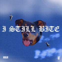 I STILL BITE (feat. LE-VI)