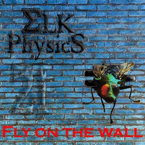 Fly on the wall