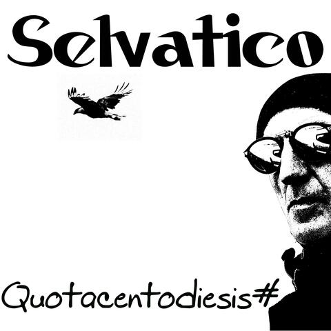 Selvatico