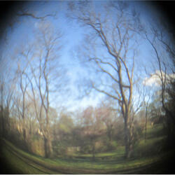 Burn Does it Barefoot