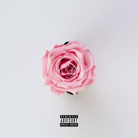 ROSE (Instrumentals)