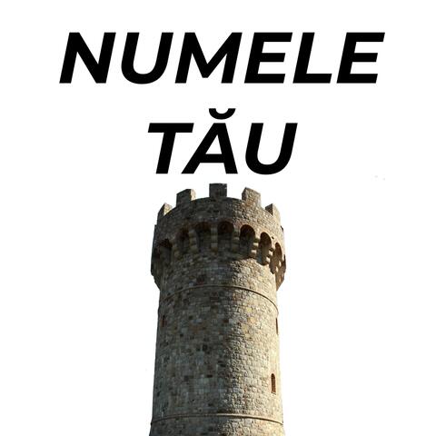 Numele Tău
