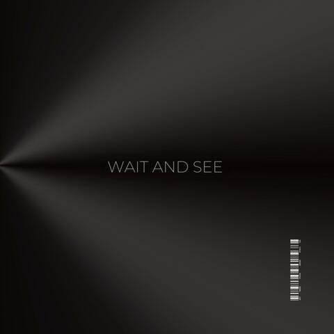Wait and see