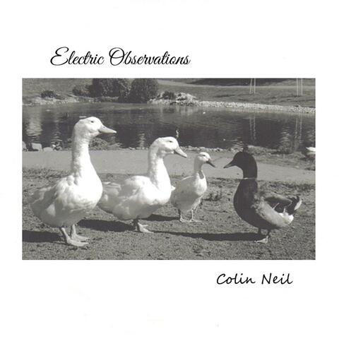 Electric Observations