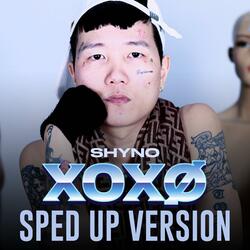 XOXO Piso 33