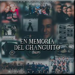En Memoria Del Changuito (D.E.P)