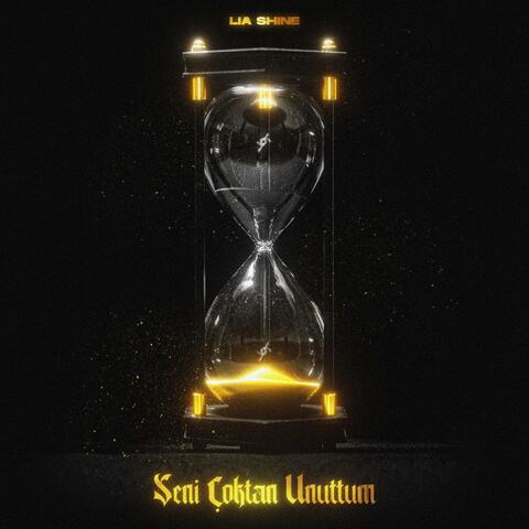 Seni Çoktan Unuttum
