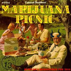 Marijuana Picnic Intro