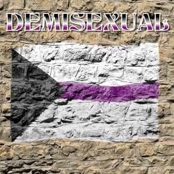 DEMISEXUAL
