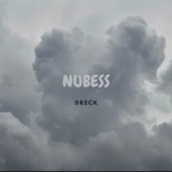 NUBESS
