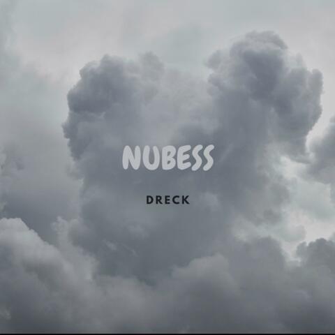 NUBESS
