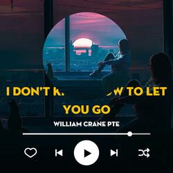 I don't know how to let you go