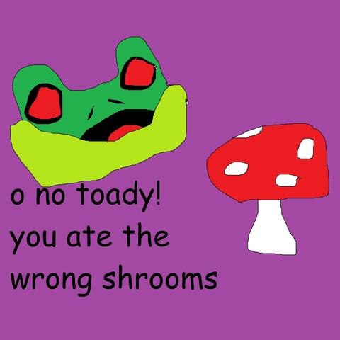 o no toady! you ate the wrong shrooms