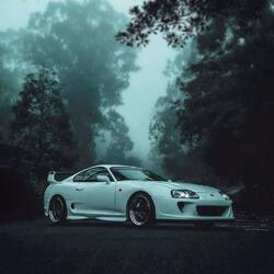 SUPRA STUTUTUTU