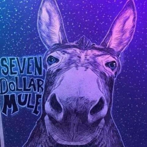 Seven Dollar Mule