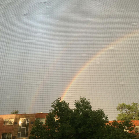 Cordum Hominum Renovatio