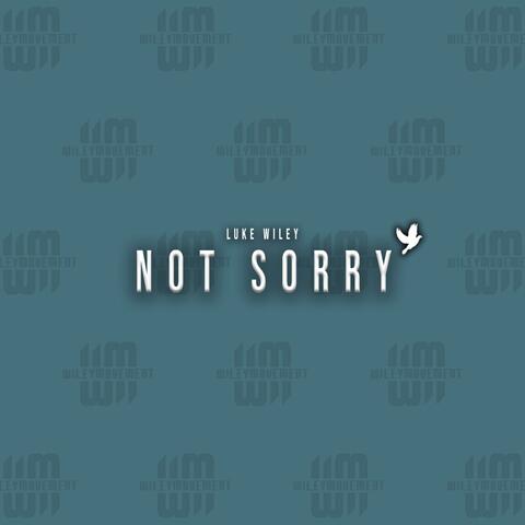 Not Sorry