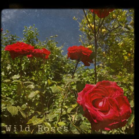 Wild Roses (Demo)