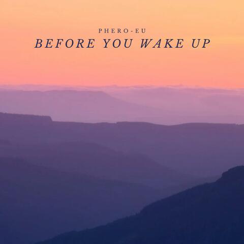 Before You Wake Up
