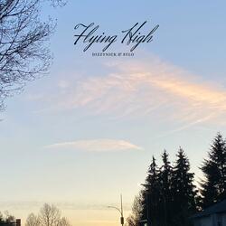 Flying High (feat. Sylo)