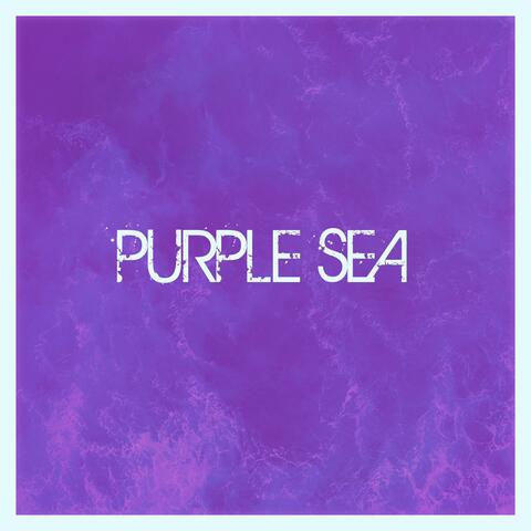Purple sea