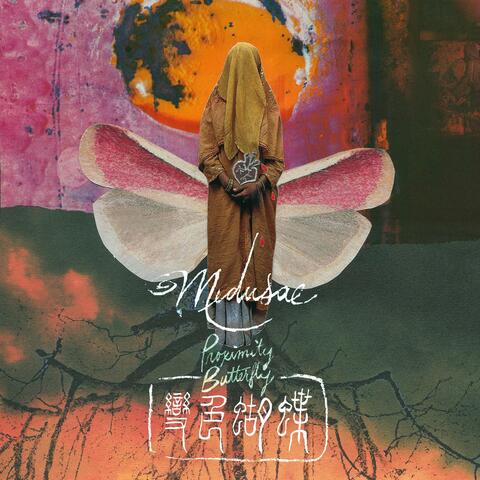 Medusae