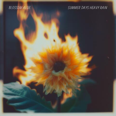 Summer Days Heavy Rain