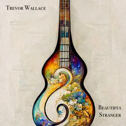 Beautiful Stranger