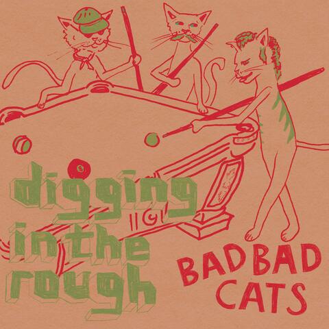 Diggin' In the Rough