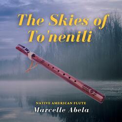 The Skies of To'nenili