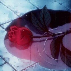 I'VE BEEN TRYING TO FORGET YOU