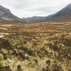 Have another drink (before you stay), Pt. 2 (feat. Ant Cook)