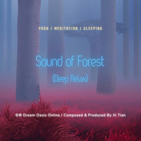Sound Of Forest (Deep Relax)