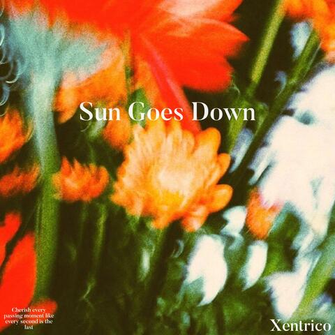Sun Goes Down