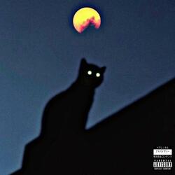 NOSLEEP!(#RiPLiLPEEP)