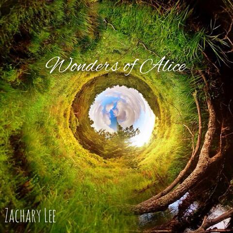 Wonders of Alice "Deep Down the Rabbit Hole"