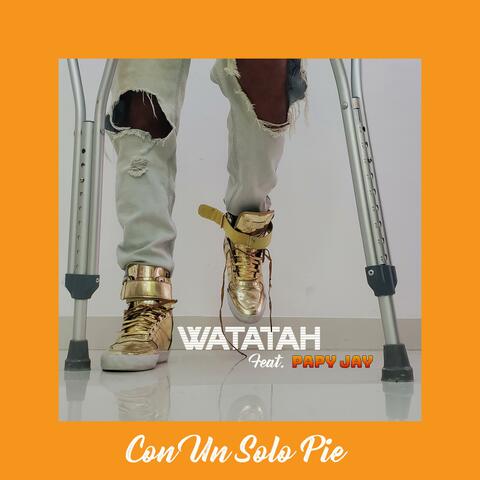 Con un solo pie (feat. Papy Jay)