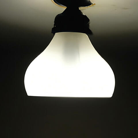 Lämp