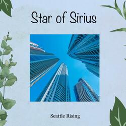 Seattle Rising