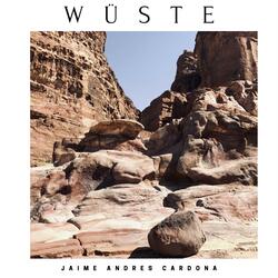 Wüste