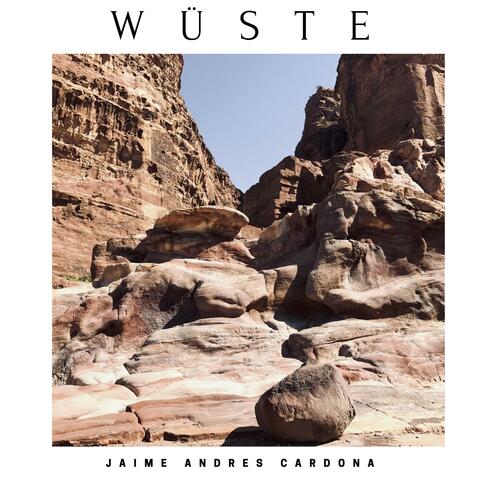 Wüste